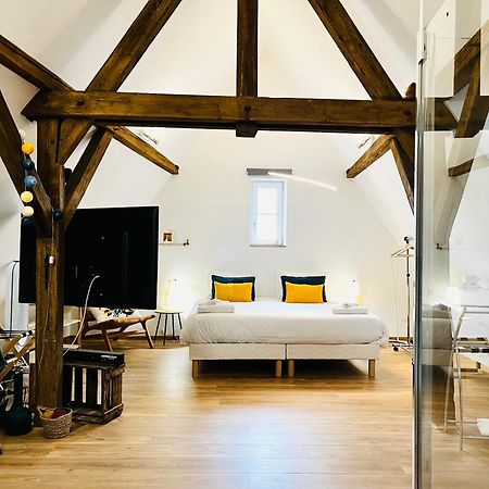 Le Loft Daire Colmar Dış mekan fotoğraf