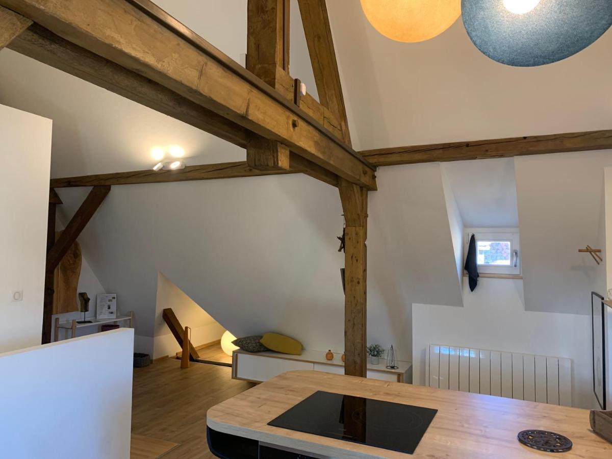 Le Loft Daire Colmar Dış mekan fotoğraf