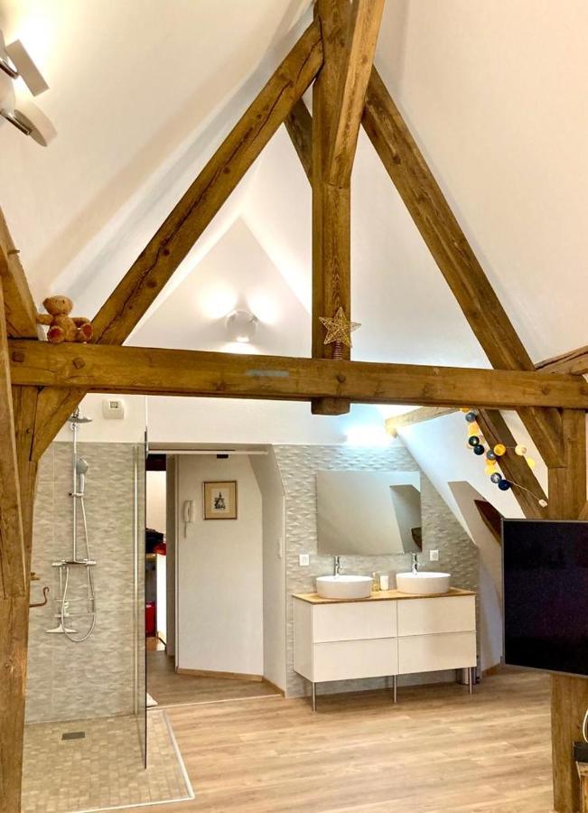 Le Loft Daire Colmar Dış mekan fotoğraf